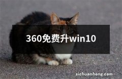 360免费升win10