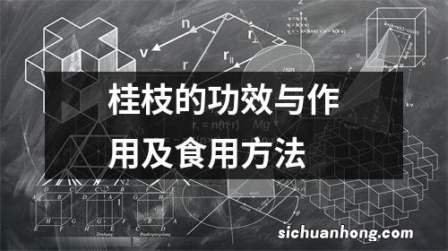 桂枝的功效与作用及食用方法