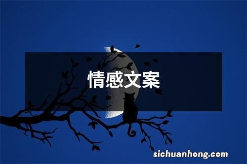 情感文案