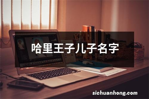 哈里王子儿子名字