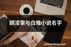 顾凌擎与白雅小说名字