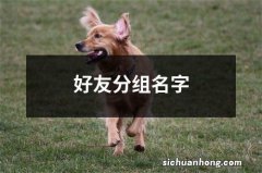 好友分组名字