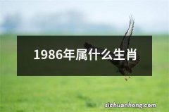 1986年属什么生肖