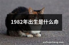 1982年出生是什么命