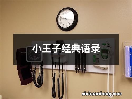 小王子经典语录