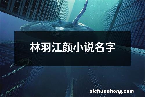 林羽江颜小说名字