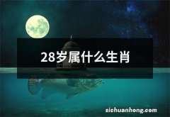 28岁属什么生肖