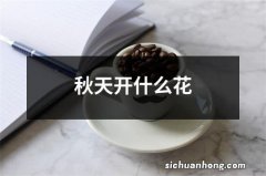 秋天开什么花