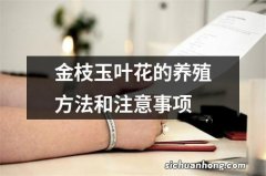 金枝玉叶花的养殖方法和注意事项