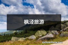 枫泾旅游