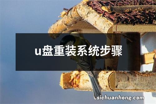 u盘重装系统步骤