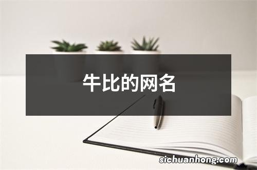 牛比的网名