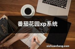 番茄花园xp系统