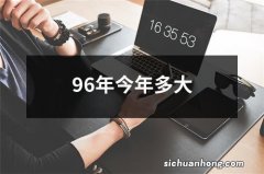 96年今年多大