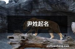 尹姓起名