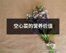 空心菜的营养价值