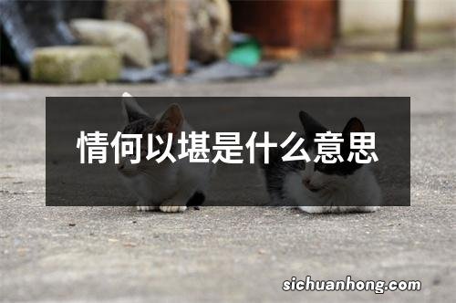 情何以堪是什么意思