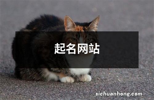 起名网站