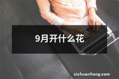 9月开什么花