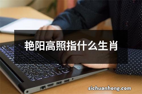 艳阳高照指什么生肖