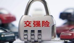 电动车交强险在哪里买