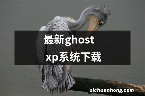 最新ghost xp系统下载