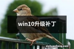 win10升级补丁