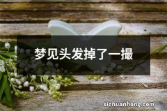 梦见头发掉了一撮