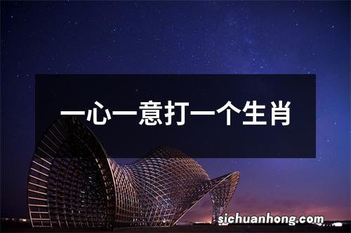 一心一意打一个生肖