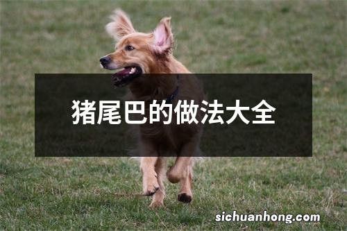 猪尾巴的做法大全
