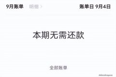 打白条支付是啥意思？看完这篇文章，就知道答案啦