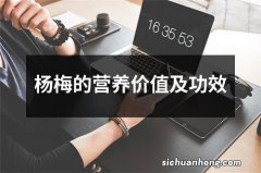 杨梅的营养价值及功效