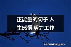 正能量的句子 人生感悟 努力工作