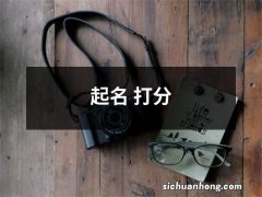 起名 打分