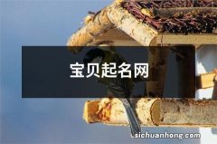 宝贝起名网