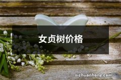 女贞树价格