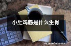 小肚鸡肠是什么生肖