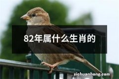 82年属什么生肖的