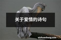 关于爱情的诗句