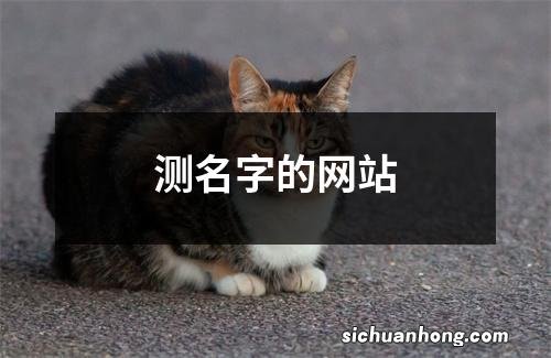 测名字的网站