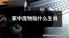 家中庞物指什么生肖