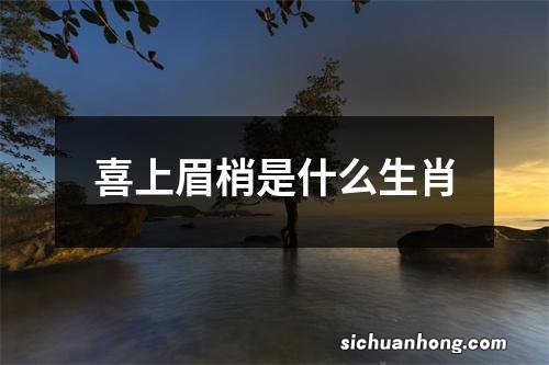 喜上眉梢是什么生肖