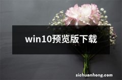 win10预览版下载