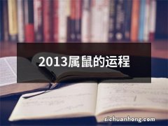 2013属鼠的运程