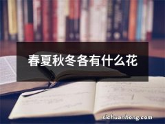 春夏秋冬各有什么花