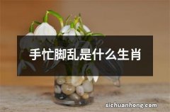 手忙脚乱是什么生肖