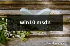 win10 msdn