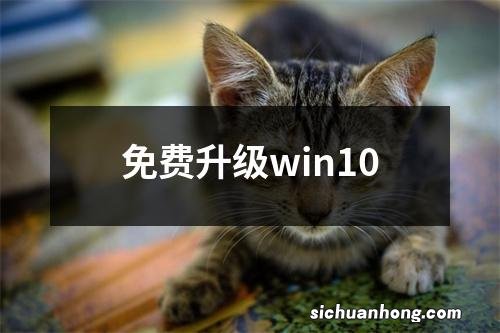 免费升级win10
