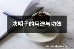 决明子的用途与功效