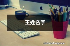 王姓名字